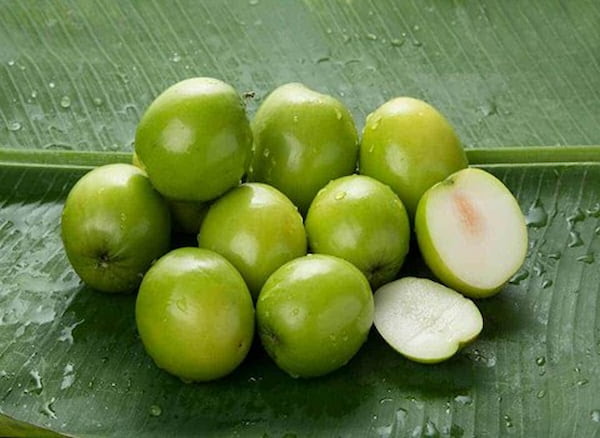 خرید عناب سبز